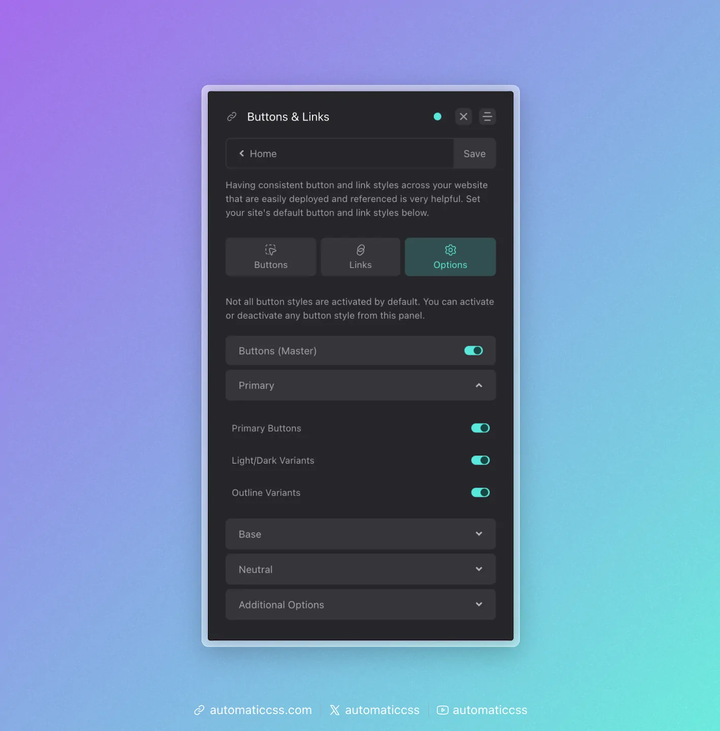 Button Options Panel